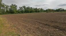 BZN replicatory site in Makó, South-East Hungary, before planting
