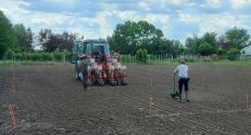 BZN replicatory site in Makó, South-East Hungary, at sowing