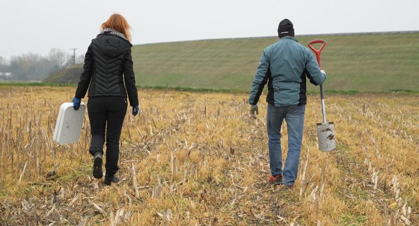 Winter wheat sampling at Gorisnica test site (13.11.2024)