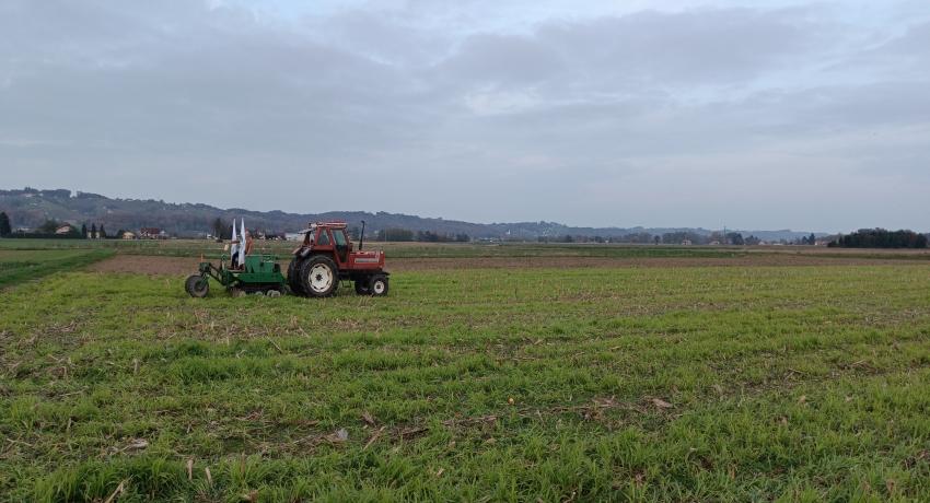 Winter wheat treated with microalgae biostimulant sown with a no-till seed drill at Gorisnica test site (28.10.2024)